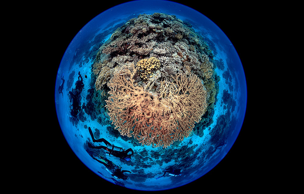 Blancpain, socio de Naciones Unidas por el Día Mundial de los Océanos 2021.