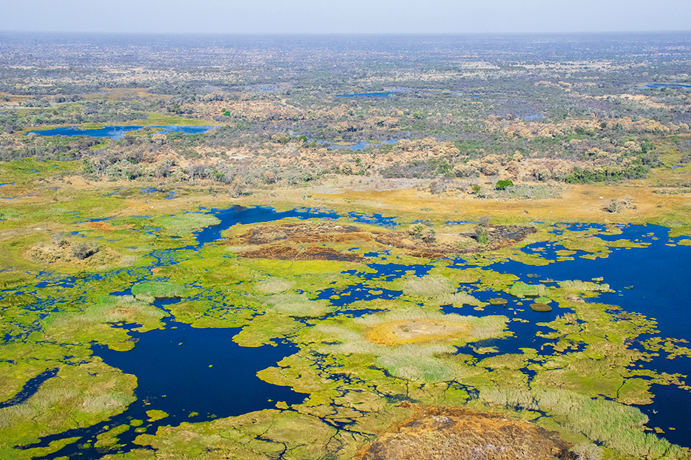 Okavango, Oris Okavango Air Rescue, verde como la hierba del Okavango