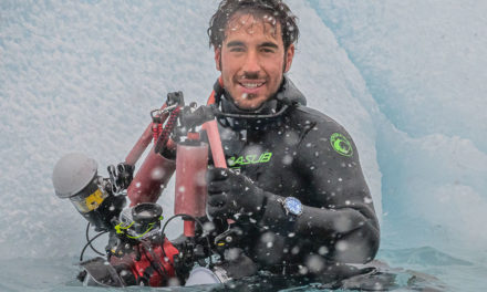 Alpina Watches continúa con su embajador español, el mejor fotógrafo submarino del mundo